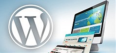 В WordPress добавят функцию автообновления плагинов и тем оформления